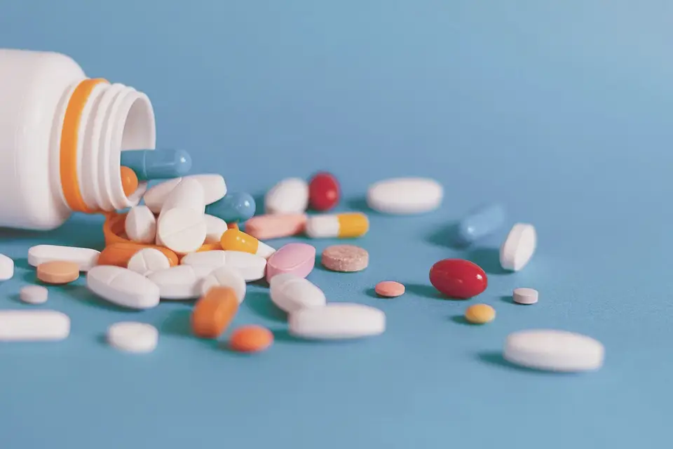 Discover Our Services